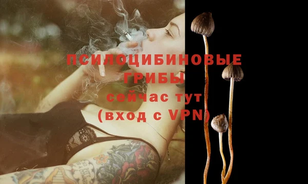 а пвп мука Алзамай