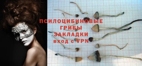 а пвп мука Алзамай