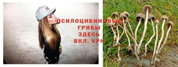 стаф Алексин