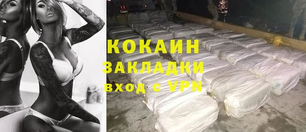 стаф Алексин